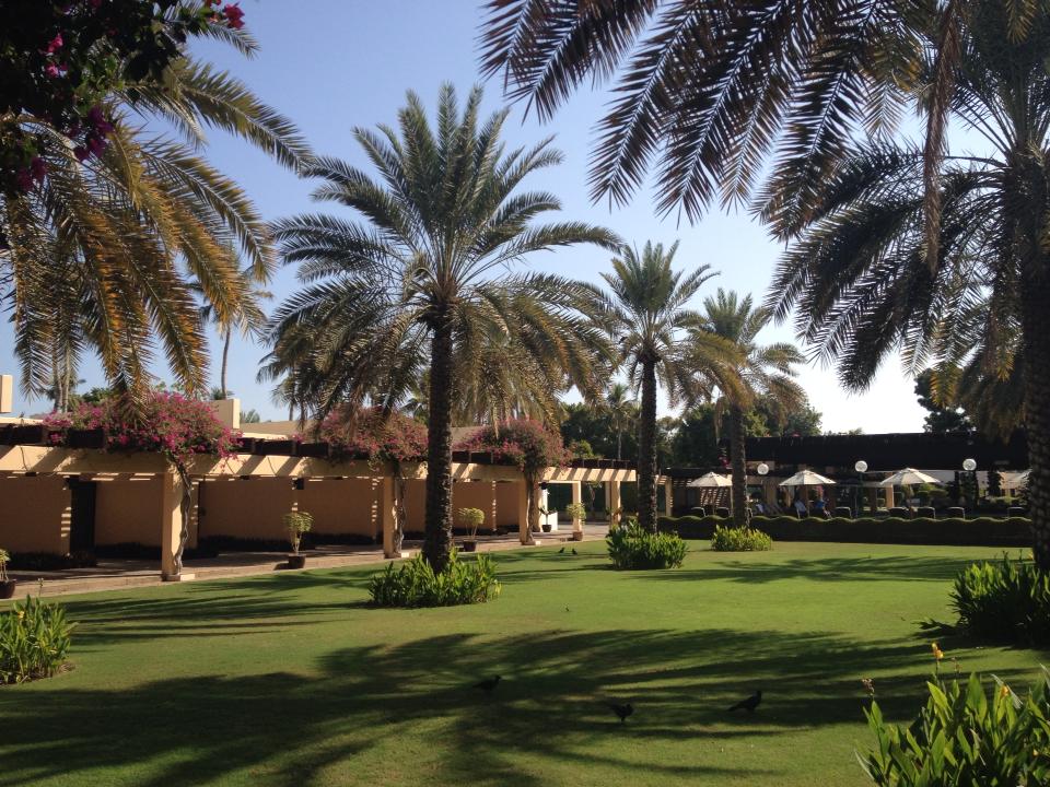 Diario di Bordo dall'Oman
