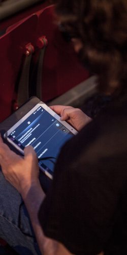 Accessibilità (10 di 11)